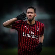 在全球羽毛 在全球羽毛