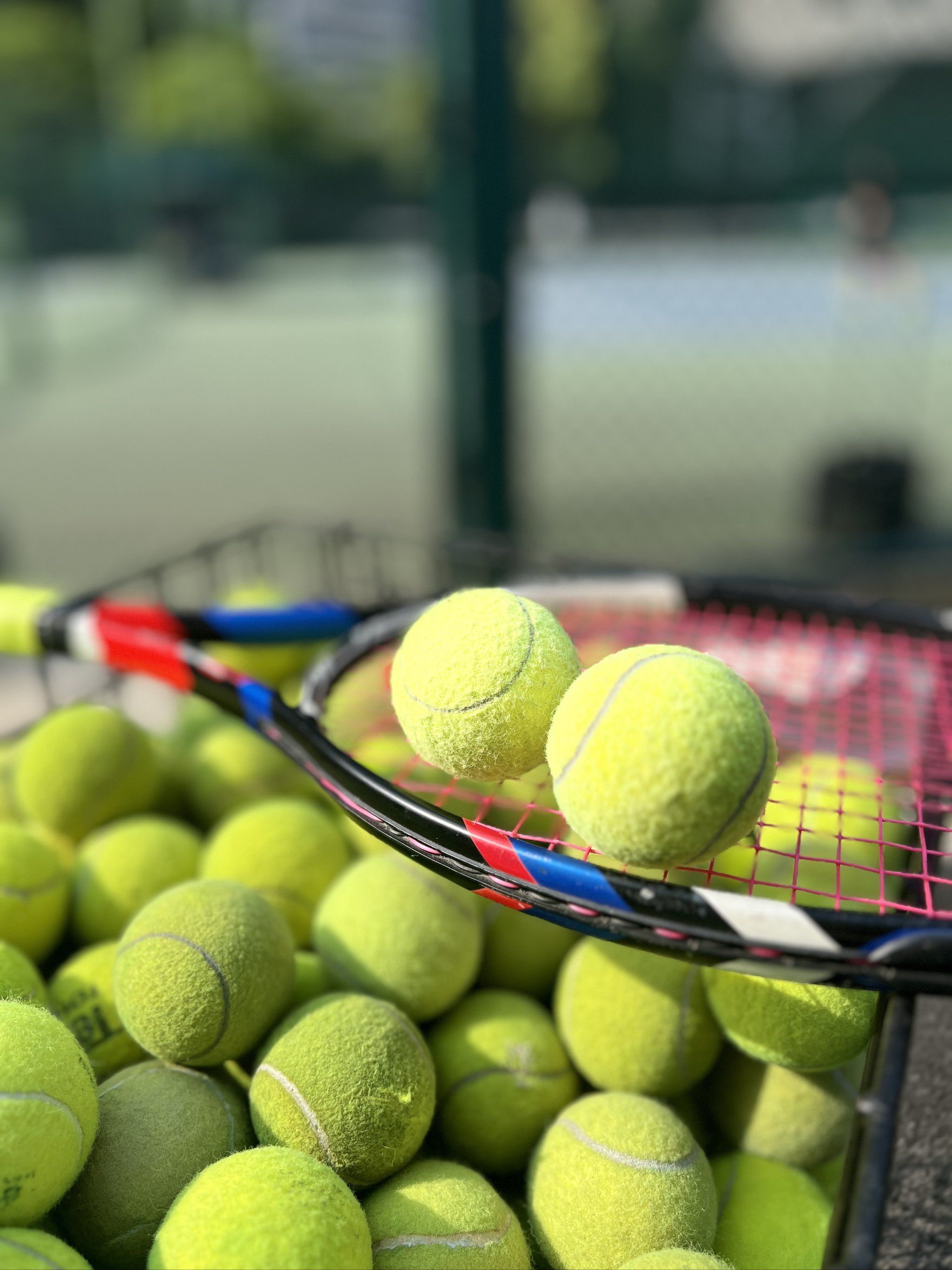 精神成了社 精神成了社