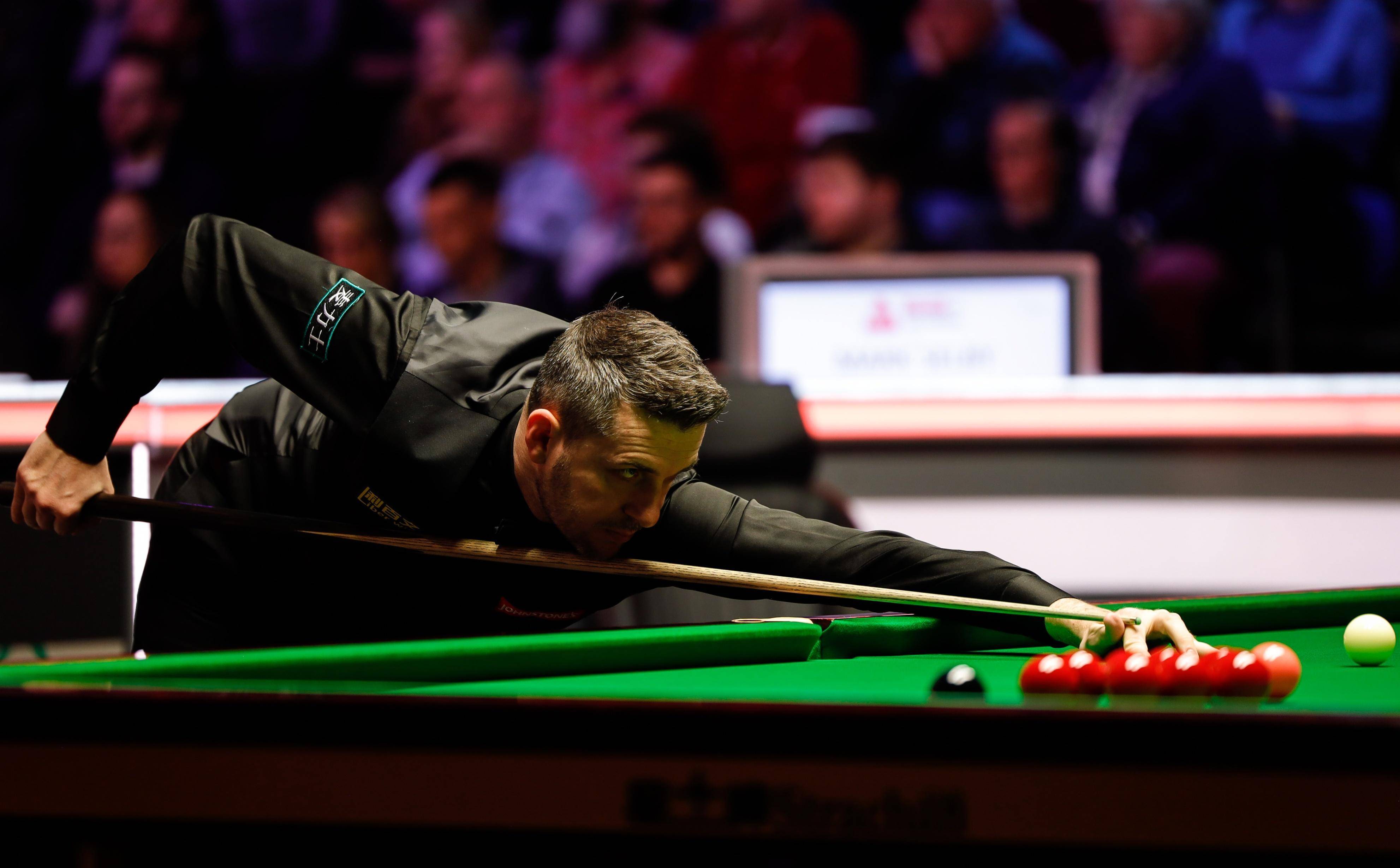 相似之处 相似之处