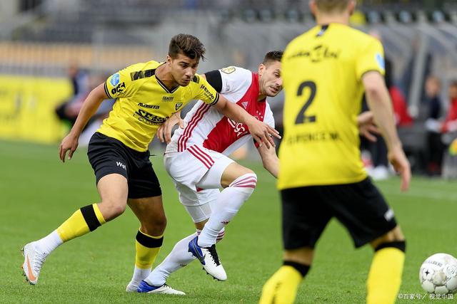 系带数量与 系带数量与